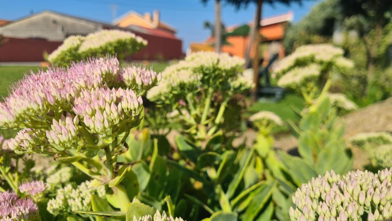 فيلا Hollidays Dreams بوفوُ جي فارزيم المظهر الخارجي الصورة